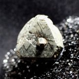 Pyrite
14 mm x 12 mm x 12 mm
(Autor: Don Lum)