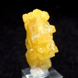 Mimetite
21 mm x 13 mm x 8 mm
(Autor: Don Lum)