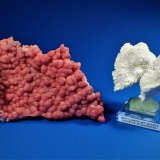 Rhodochrosite, Beryllonite, Quartz
(Autor: Don Lum)