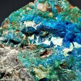 Liroconite, Clinoclase
41 mm x 39 mm x  25 mm
(Autor: Don Lum)