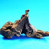 Native Copper (variety spinel twin)
43 mm x 27 mm x 12 mm
(Autor: Don Lum)