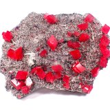Rhodochrosite, Quartz, Fluorite, Pyrite
183 mm x 155 mm x 68 mm
(Autor: Don Lum)