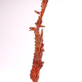 Copper
77 mm x 12 mm x 11 mm
(Autor: Don Lum)