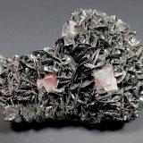 Hematite (variety specularite) on kidney ore, Quartz
52 mm x 33 mm x 18 mm
(Autor: Don Lum)