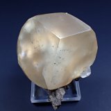 Calcite, Marcasite
60 mm x 44 mm x 43 mm
(Autor: Don Lum)