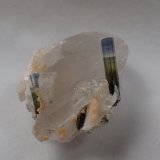 Elbaite (Tourmaline Group), Quartz, Albite (var cleavelandite)
55 mm x 38 mm x 29 mm
(Autor: Don Lum)