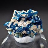 Veszelyite, Hemimorphite
22 mm x 17 mm x 9 mm
(Autor: Don Lum)
