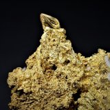 Gold
77 mm x  53 mm
(Autor: Don Lum)
