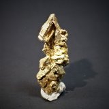 Gold
15 mm x 5.4 mm
(Autor: Don Lum)