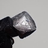 Magnetite
45 mm x 25 mm x 17 mm
(Autor: Don Lum)