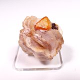 Fluornatromicrolite, Garnet (variety spessartine)
27 mm x 24 mm x 27 mm
(Autor: Don Lum)