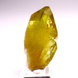 Brazilianite
56 mm x 30 mm x 21mm
(Autor: Don Lum)