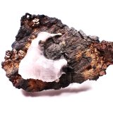 Silver, Calcite
50 mm x 32 mm x 15 mm
(Autor: Don Lum)