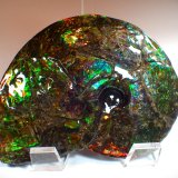 Calcite after ammonite
220 mm x 171 mm x 40 mm
(Autor: Don Lum)