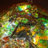 Calcite after ammonite
272 mm x 200 mm
(Autor: Don Lum)
