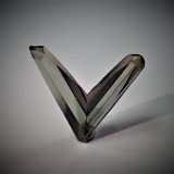 Diaspore
18 mm x 18 mm x 4 mm
(Autor: Don Lum)