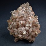 Calcite, Pyrite
90 mm x 70 mm x 57 mm
(Autor: Don Lum)