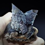 Arsenopyrite, Quartz and Muscovite
72 mm x 57 mm x 50 mm
(Autor: Don Lum)