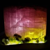 Elbaite (Tourmaline Group), Albite, Quartz
12 cm x  11.5 cm
(Autor: Don Lum)
