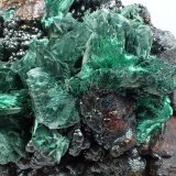 Malachite after Azurite, Goethite
15 cm x 12 cm x 9 cm
(Autor: Don Lum)