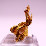 Native Gold
18 mm x 11 mm
(Autor: Don Lum)