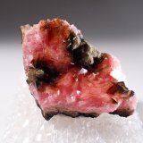 Rhodochrosite
31 mm x 20 mm
(Autor: Don Lum)