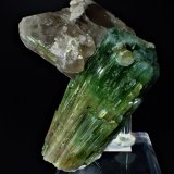 Elbaite (Tourmaline Group), Quartz (variety smoky quartz), Albite
165 mm x 145 mm x 95 mm
(Autor: Don Lum)
