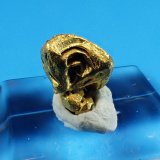 Gold
7 mm x 6 mm
(Autor: Don Lum)