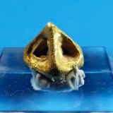 Gold
7 mm x 7 mm
(Autor: Don Lum)