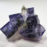Fluorite, Boulangerite, Quartz, Chalcopyrite
30 mm x 27 mm
(Autor: Don Lum)