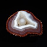 Quartz (variety agate, variety chalcedony)
50 mm x 40 mm x 27 mm
(Autor: Don Lum)