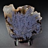 Quartz (variety agate)
68 mm x 57 mm x 5 mm
(Autor: Don Lum)