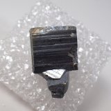 Pyrite, Molybdenite
24 mm x 14 mm x 8 mm
(Autor: Don Lum)