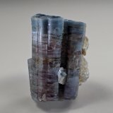 Elbaite (Tourmaline Group)
22 mm x 17 mm x 12 mm
(Autor: Don Lum)