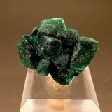 Malachite pseudomorph after Azurite
42mm x 33mm
(Autor: Don Lum)