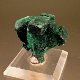 Malachite pseudomorph after Azurite
42mm x 33mm
(Autor: Don Lum)