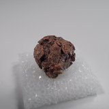 Copper after Aragonite
19 mm x 20 mm x 15 mm
(Autor: Don Lum)