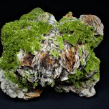 Pyromorphite on Fluorite, Baryte
155 mm x 96 mm x 75 mm
(Autor: Don Lum)