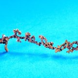 Native Copper
56 mm x 12 mm
(Autor: Don Lum)