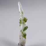 Uvite, Quartz
47 mm x 12 mm
(Autor: Don Lum)