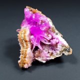 Calcite (variety Co-bearing calcite)
61 mm x 47 mm x 37 mm
(Autor: Don Lum)