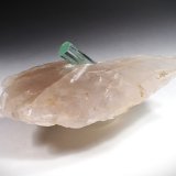Beryl (variety aquamarine), Quartz
115 mm x 62 mm x 25 mm
(Autor: Don Lum)