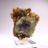 Fluorite, Chalcedony
43 mm x 42 mm x 35 mm
(Autor: Don Lum)