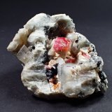Pezzottaite, Beryl (variety aquamarine)), Schorl, Albite
69 mm x 43 mm x 44 mm
(Autor: Don Lum)