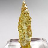 Beryl (variety heliodor)
31 mm x 9 mm x 8 mm
(Autor: Don Lum)