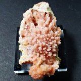 Quartz (variety rose quartz)
46 mm x 25 mm x 17 mm
(Autor: Don Lum)