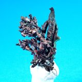 Native Copper
32 mm x 20 mm
(Autor: Don Lum)
