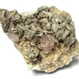 Fluorapatite, muscovite, feldspar
Specimen size 7,5 cm, apatite in the center measures 1,1 cm
(Autor: Tobi)