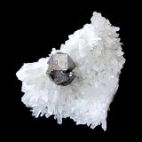 Galena on Quartz
Specimen size 9 cm
(Autor: Tobi)