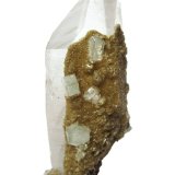 Quartz, fluorapatite, siderite
Specimen height 8,5 cm, largest apatite measures 8 mm
(Autor: Tobi)
